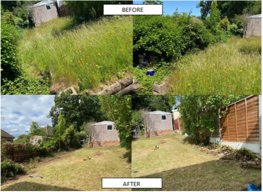Gardener: Image 5
